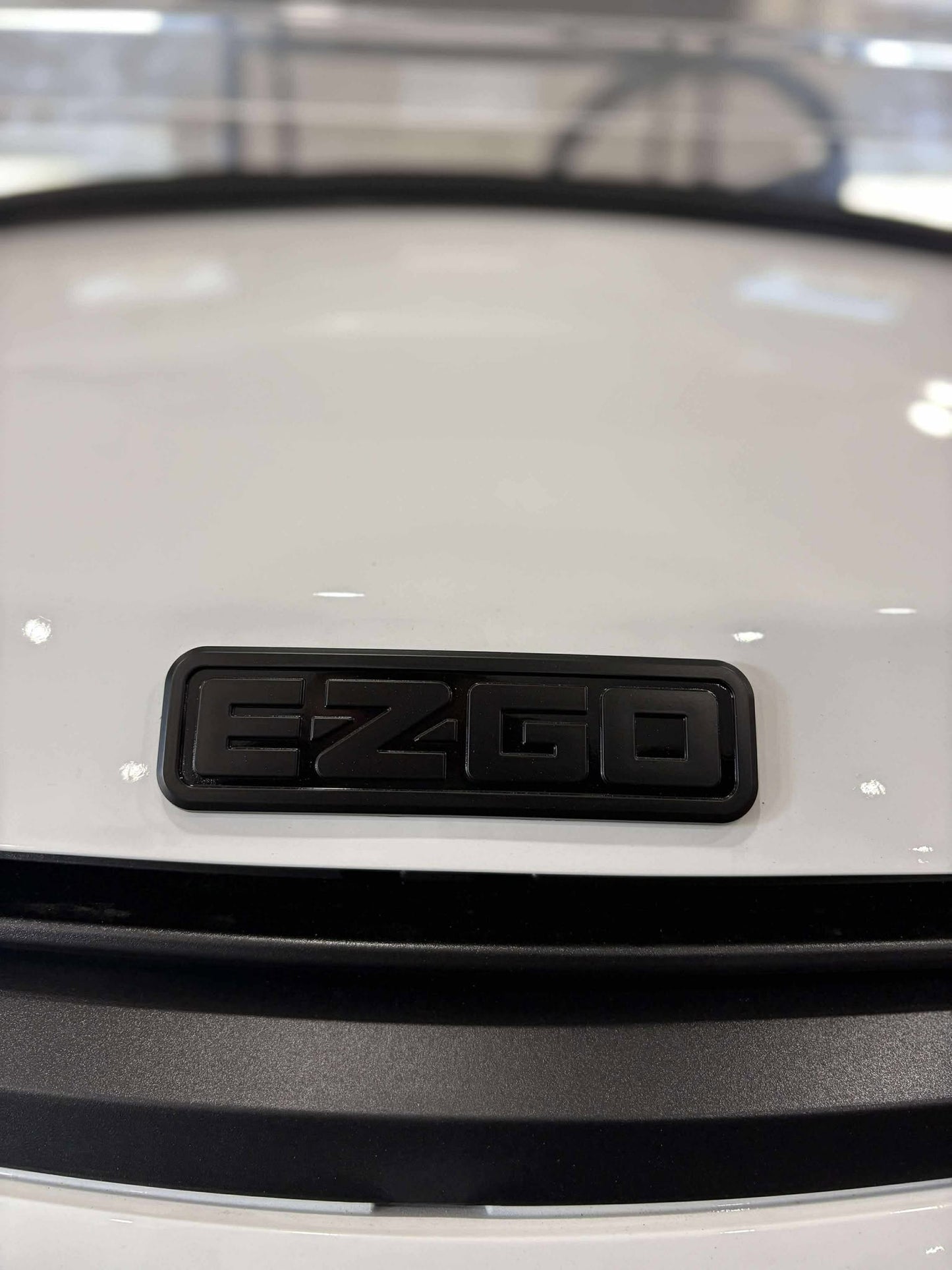 2025 EzGo Liberty Elite (Explorer Package)