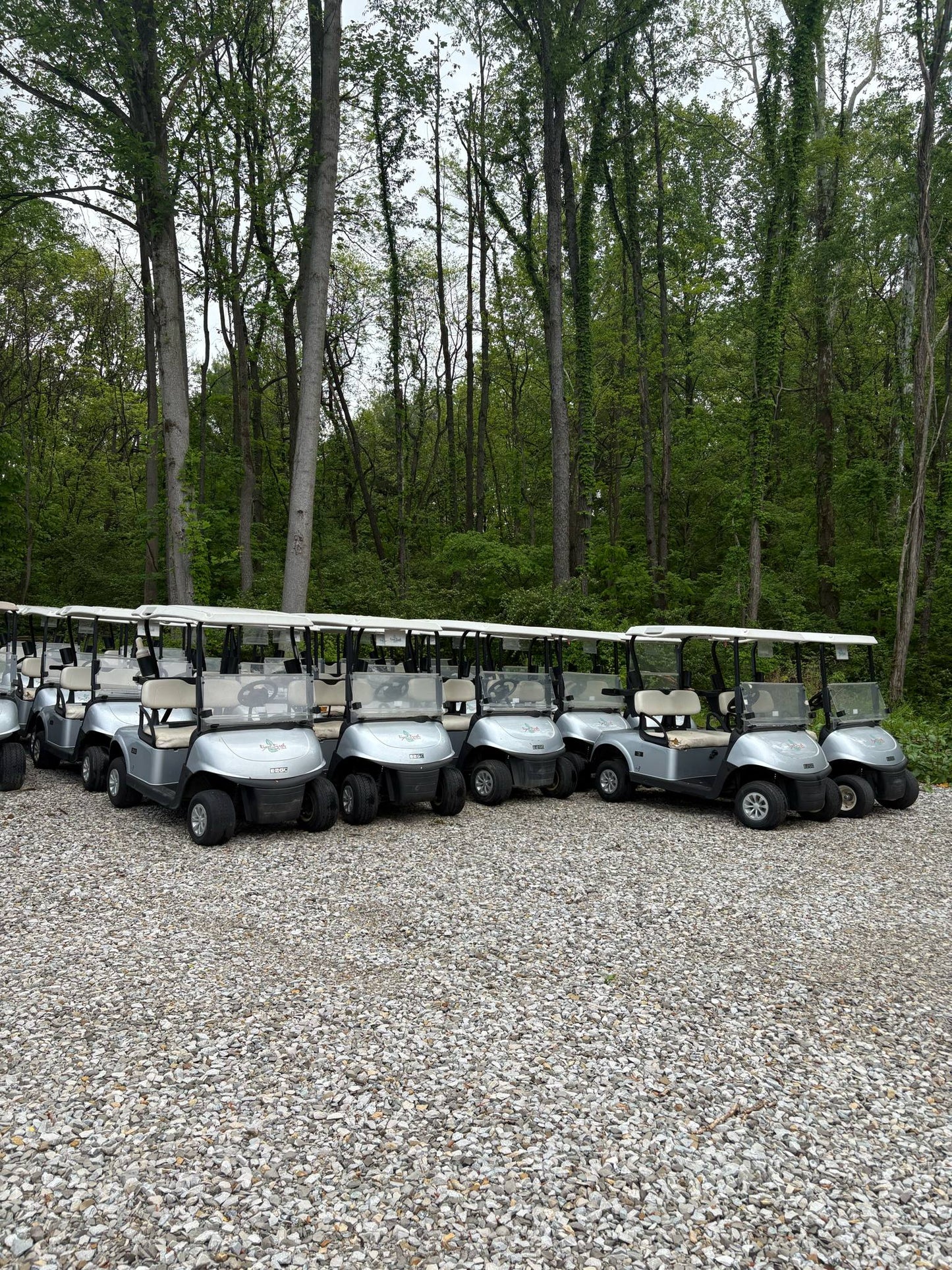 2020 EzGo Rxv Gas (Fleet)