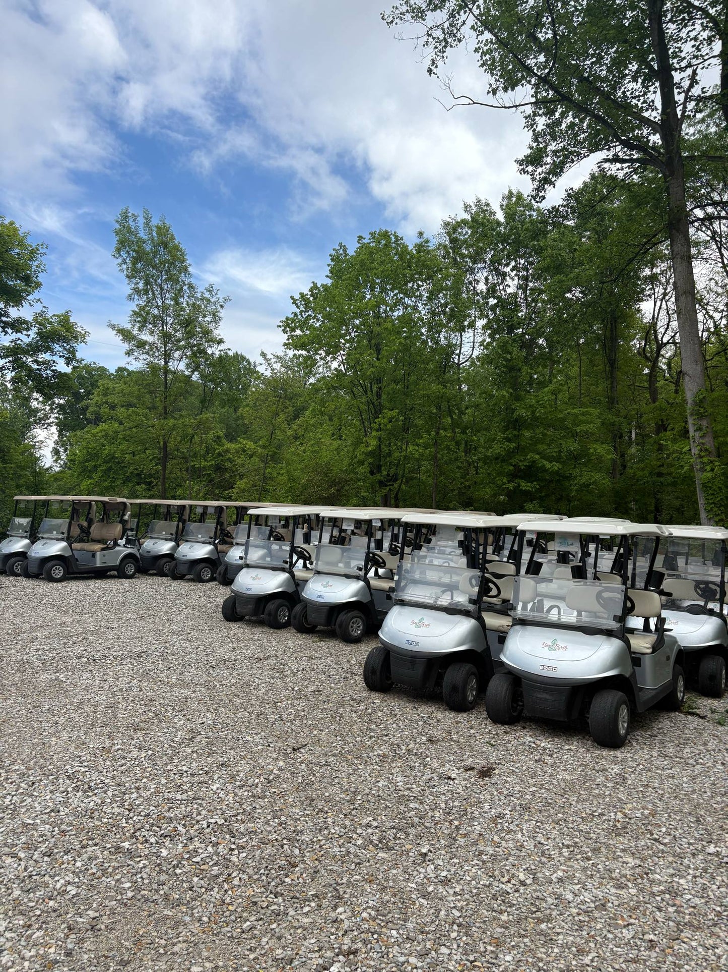 2020 EzGo Rxv Gas (Fleet)