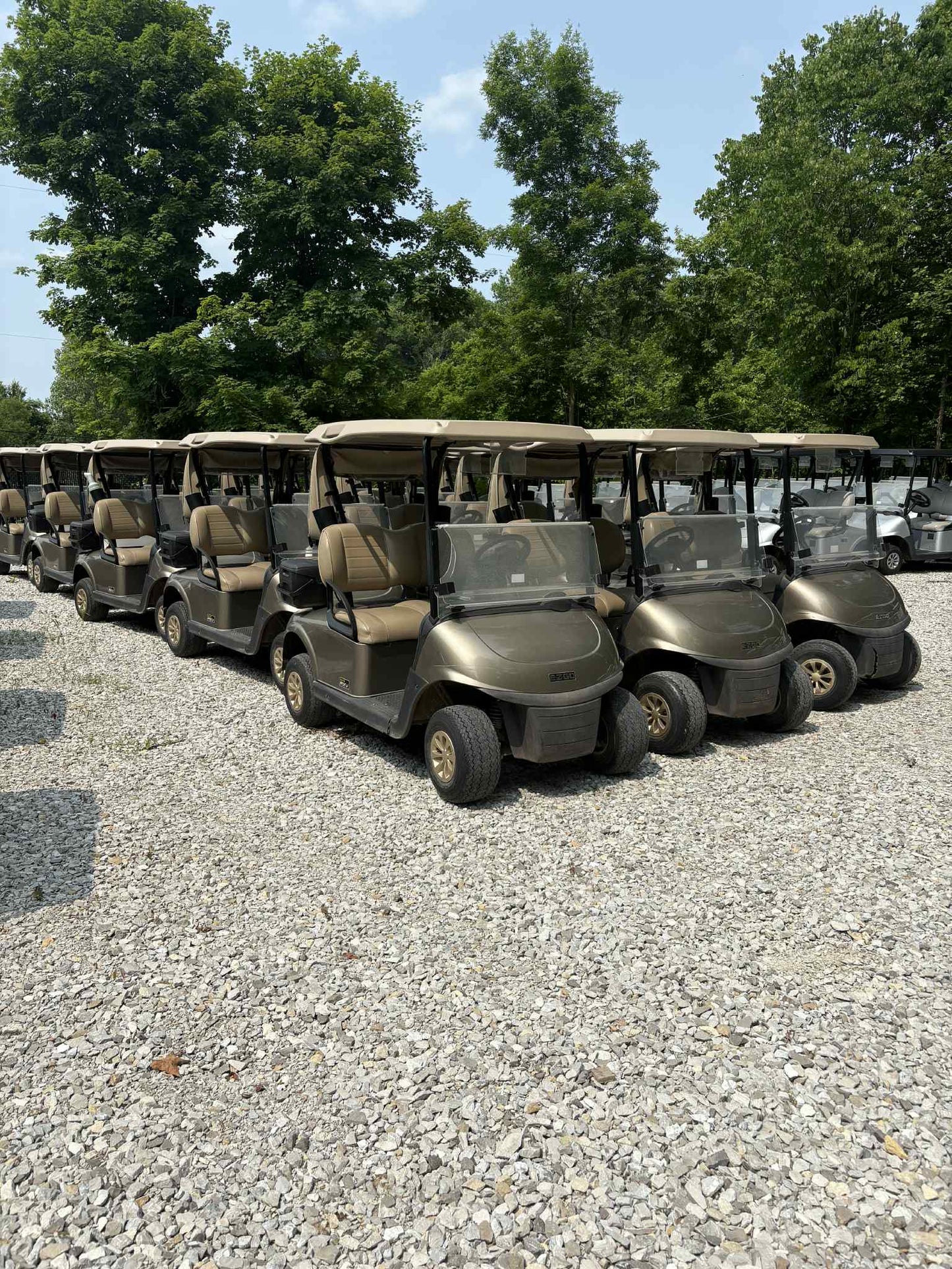 2020 EzGo Rxv Elite (Fleet)