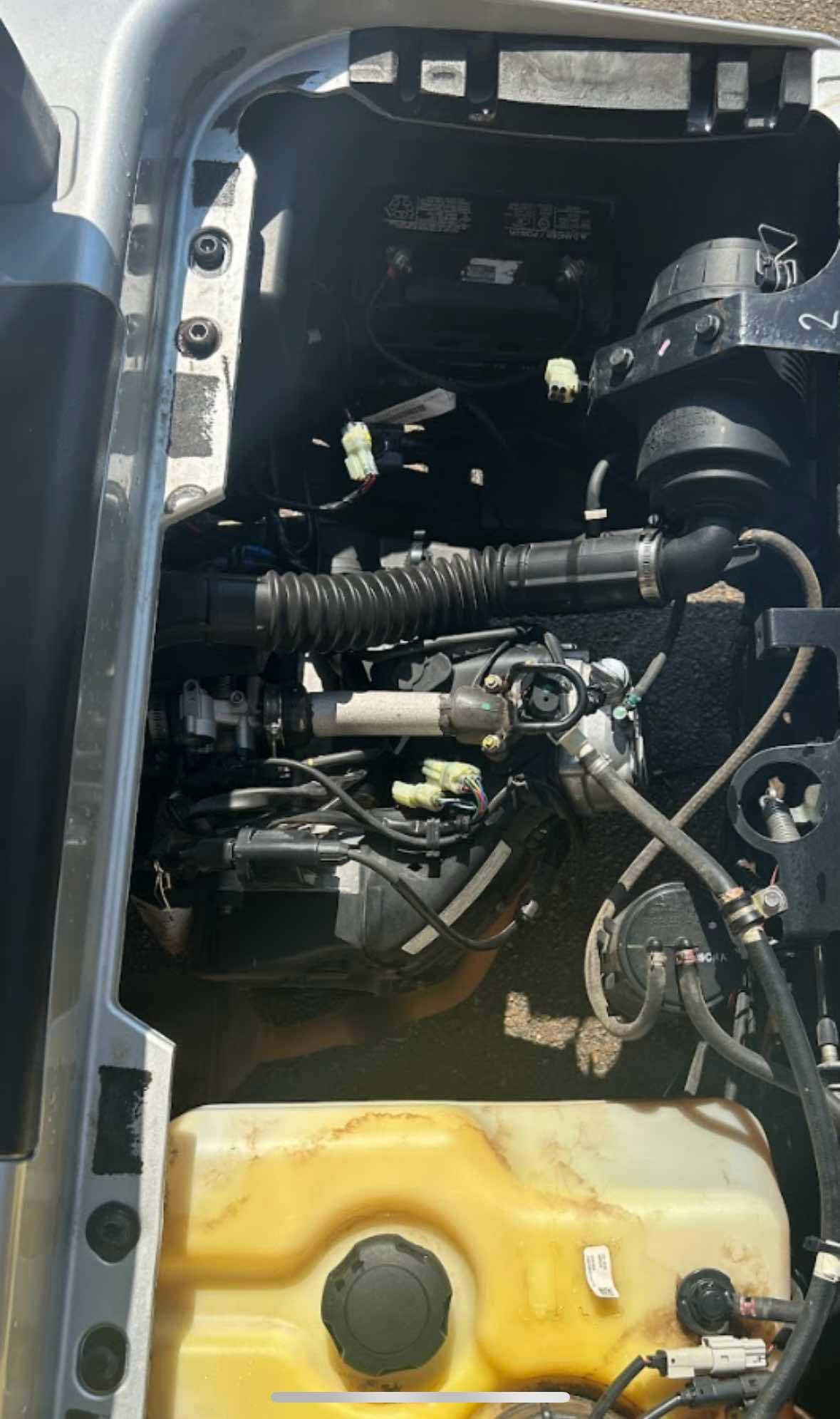 2020 EzGo Rxv Gas (Fleet)