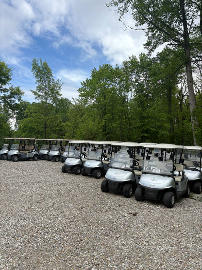 2020 EzGo Rxv Gas (Fleet)