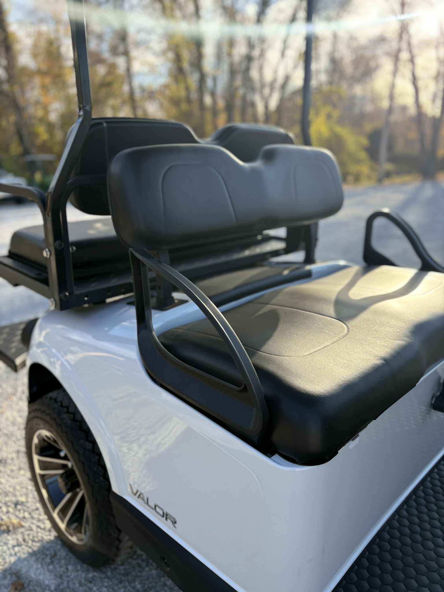 2026 EzGo RXV 4 Freedom EX1 Gas SKU:5928917